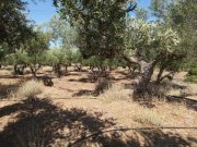 Kissamos Grundstück in der Nähe des Strandes von Falassarna Grundstück kaufen